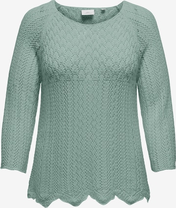 ONLY Carmakoma Pullover 'CARNOLA' i grøn: forside