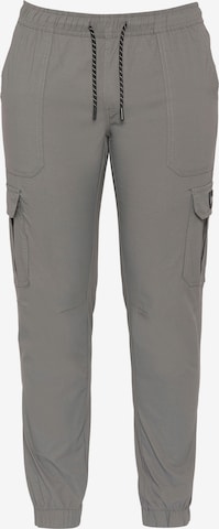 Pantalon Schott NYC en gris : devant