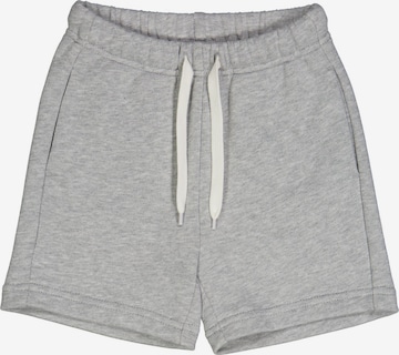 Fred's World by GREEN COTTON Regular Sweatshorts '' in Grau: predná strana