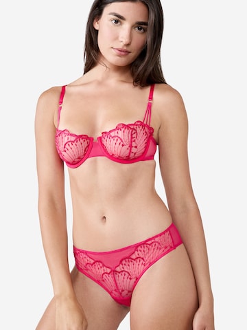 Panty di ETAM in rosa