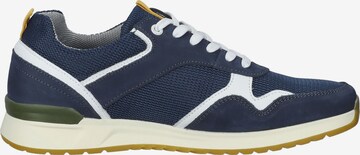 SALAMANDER Sneaker in Blau