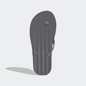 ADIDAS SPORTSWEAR Босоножки через палец 'KEITAKI ALPHA' в Серый