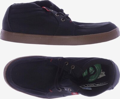 VANS Flats & Loafers in 39,5 in Black, Item view