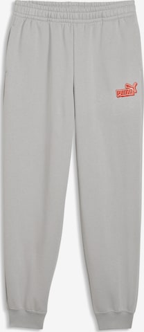 PUMA Sporthose in Grau: Vorderseite