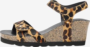 ruda PANAMA JACK Sandalai 'Julia': priekis