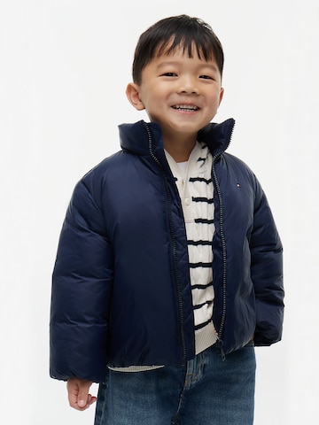 TOMMY HILFIGER Winter jacket in Blue