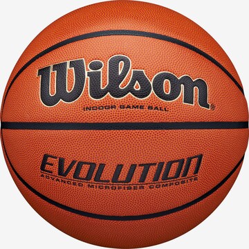 WILSON Ball 'EVOLUTION' in Brown: front