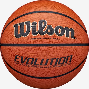 WILSON Ball 'EVOLUTION' in Brown: front