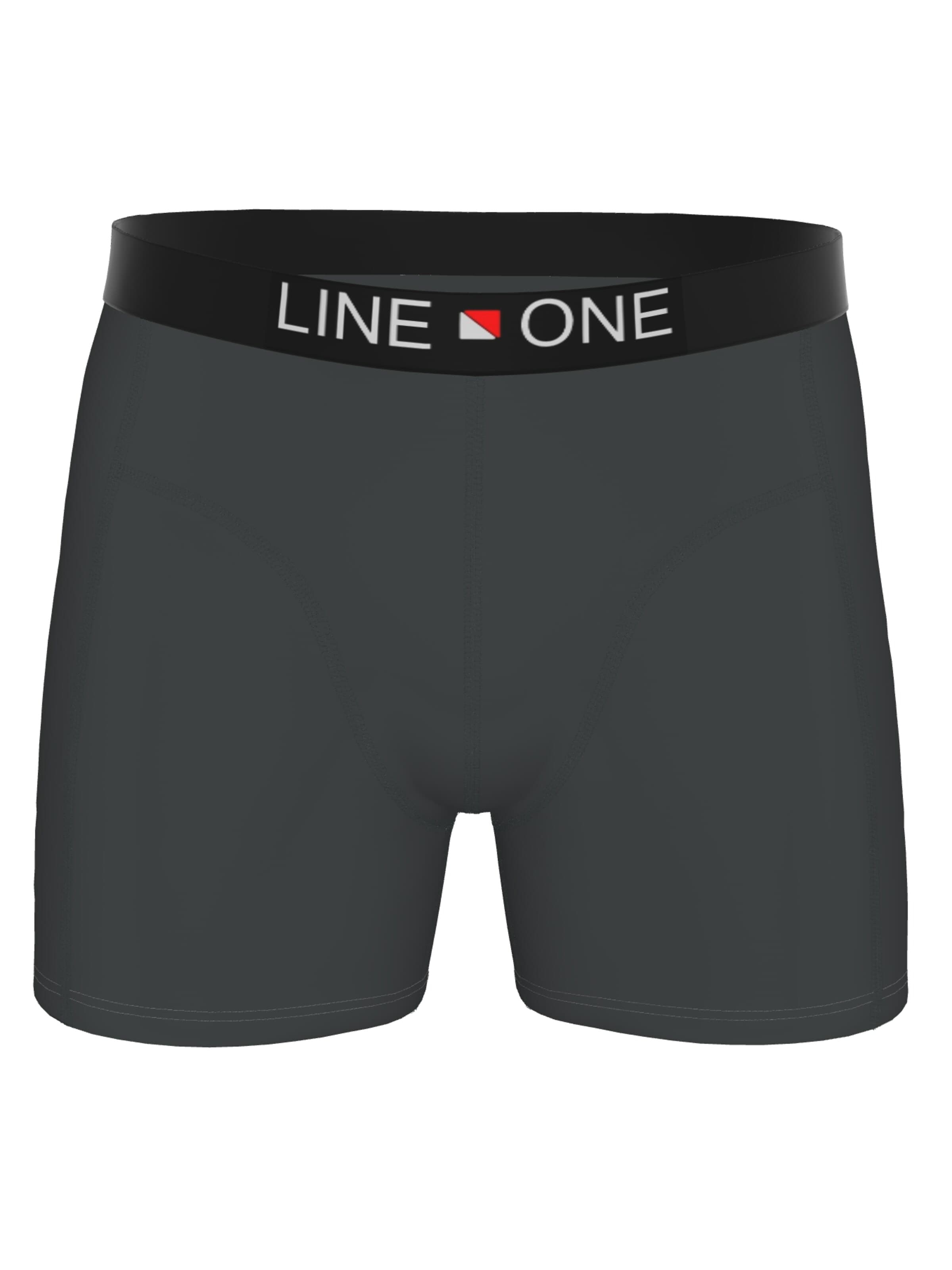 Line One Boxershorts 'Herren Boxershorts aus Baumwolle' in Grijs: voorkant