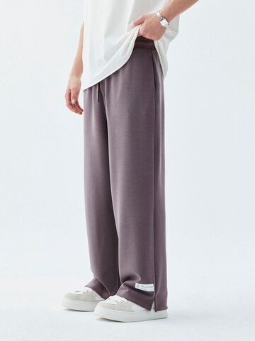 Wide Leg Pantalon 'Detroit' VAMOS CLO en gris