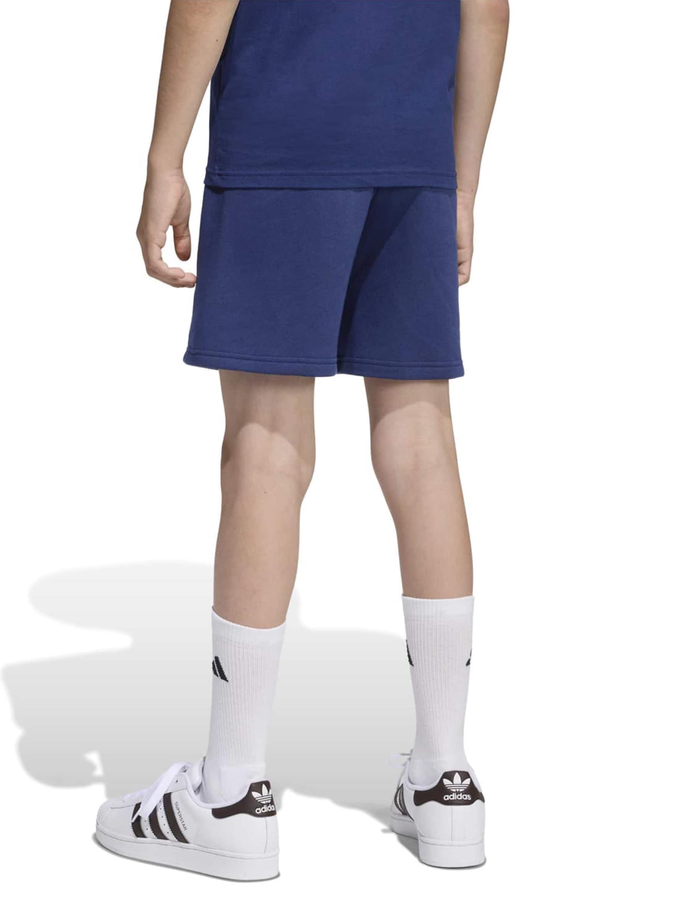 ADIDAS PERFORMANCE regular Παντελόνι φόρμας 'ENT26' σε μπλε