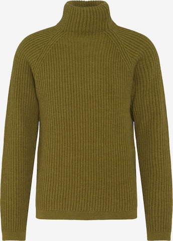 DRYKORN Sweater 'Arvid' in Green: front
