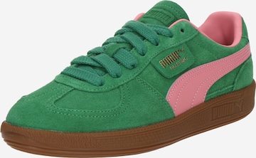PUMA Кроссовки 'Palermo' в Зеленый: спереди