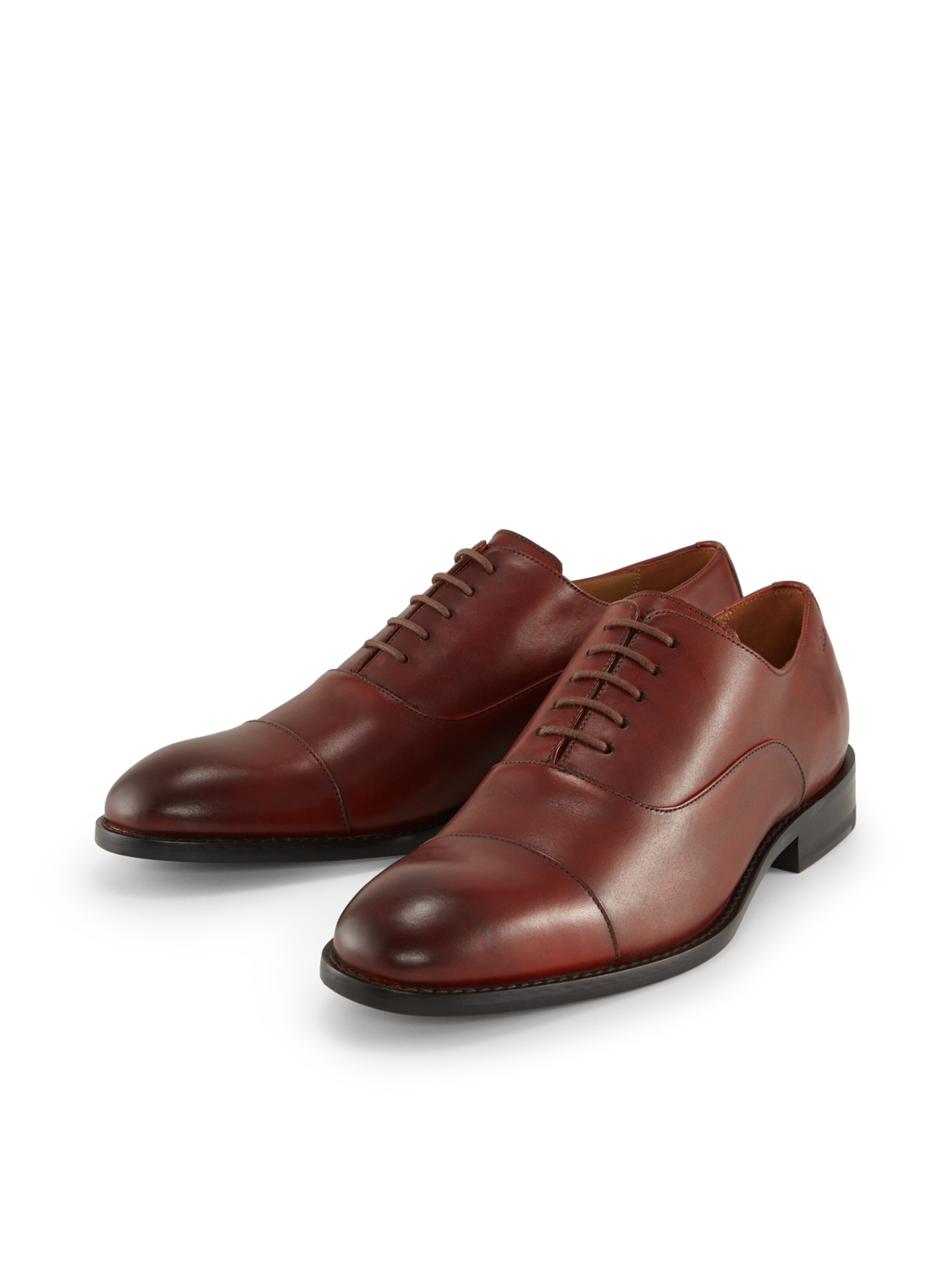 Chaussure à lacets ' Lusso Santinos ' JOOP! en marron