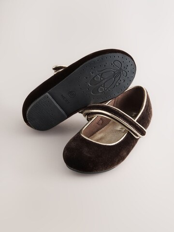 Next Ballerina in Brown