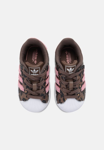 ADIDAS ORIGINALS Tenisky - Hnedá