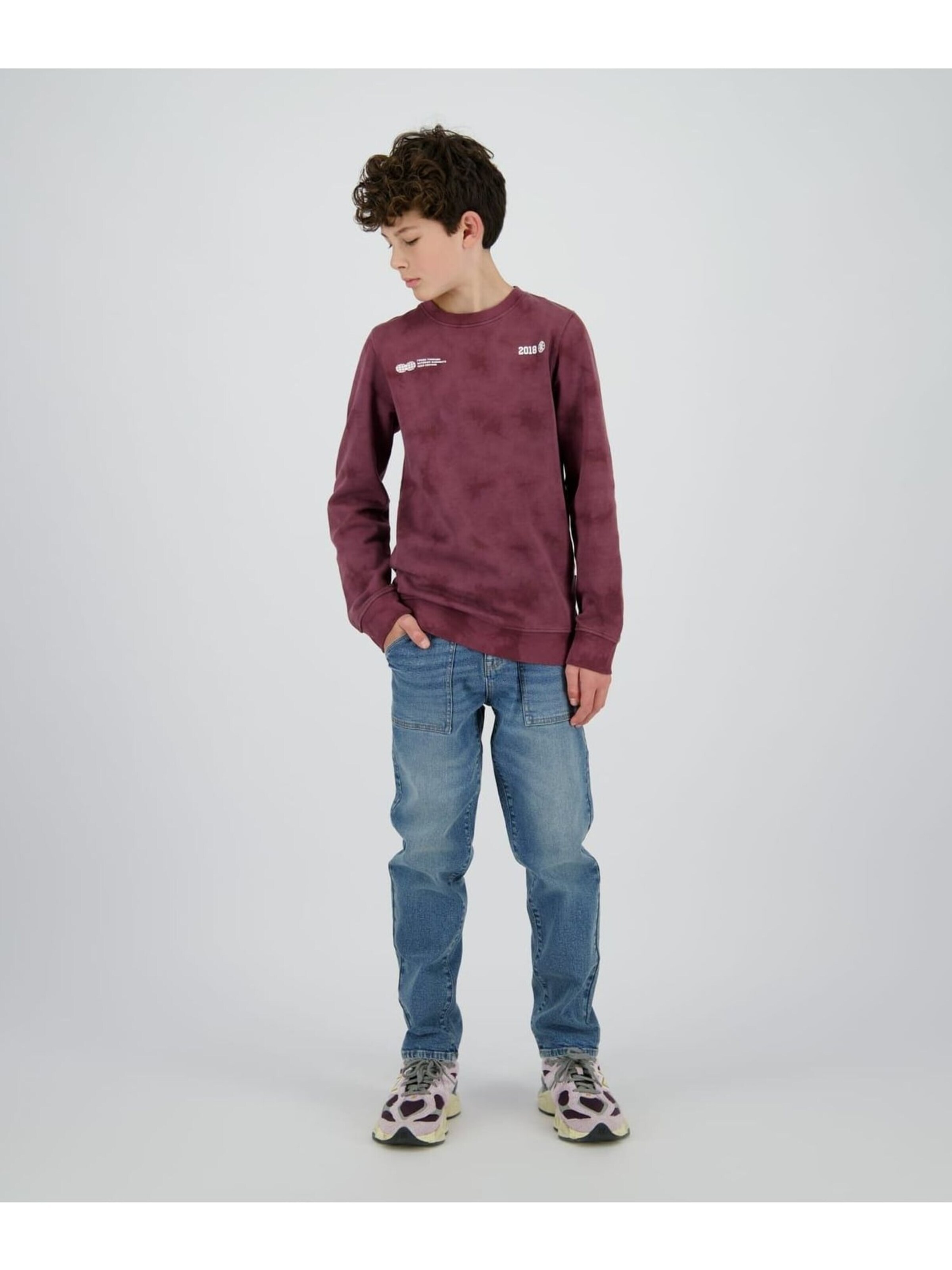 Raizzed Sweatshirt in Lila