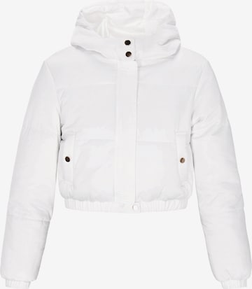 Geacă de iarnă de la faina pe alb: față