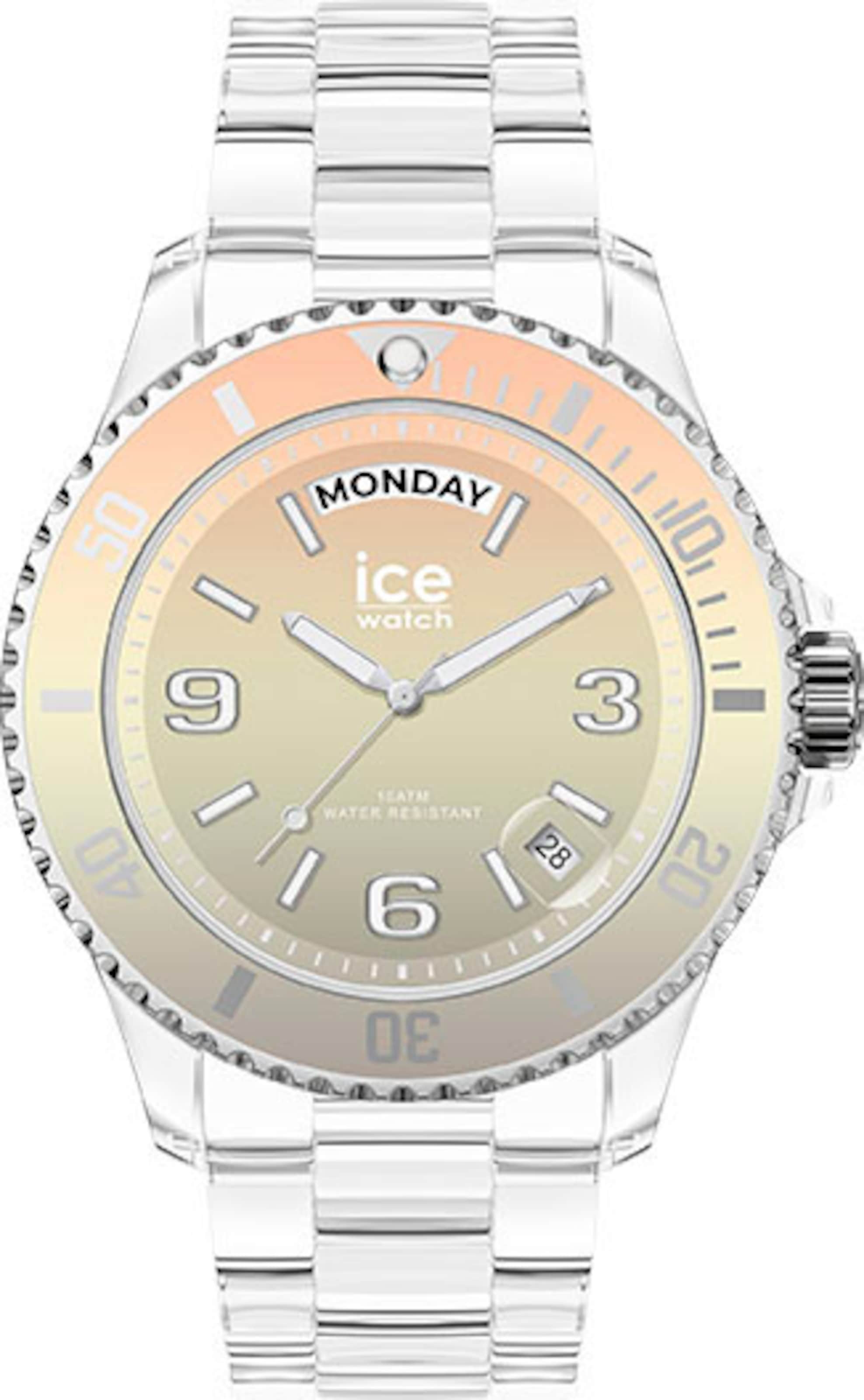 ICE WATCH Analog Watch in Silver: front