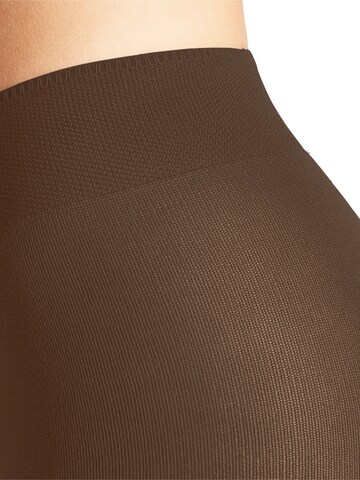 FALKE Tights 'Family' in Brown