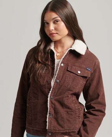 Superdry Between-Season Jacket in Brown: front