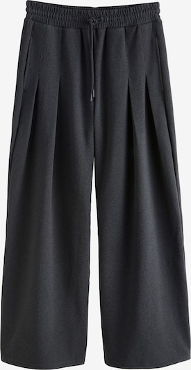 Next Hlače s naborima 'N.Premium' u antracit siva, Pregled proizvoda