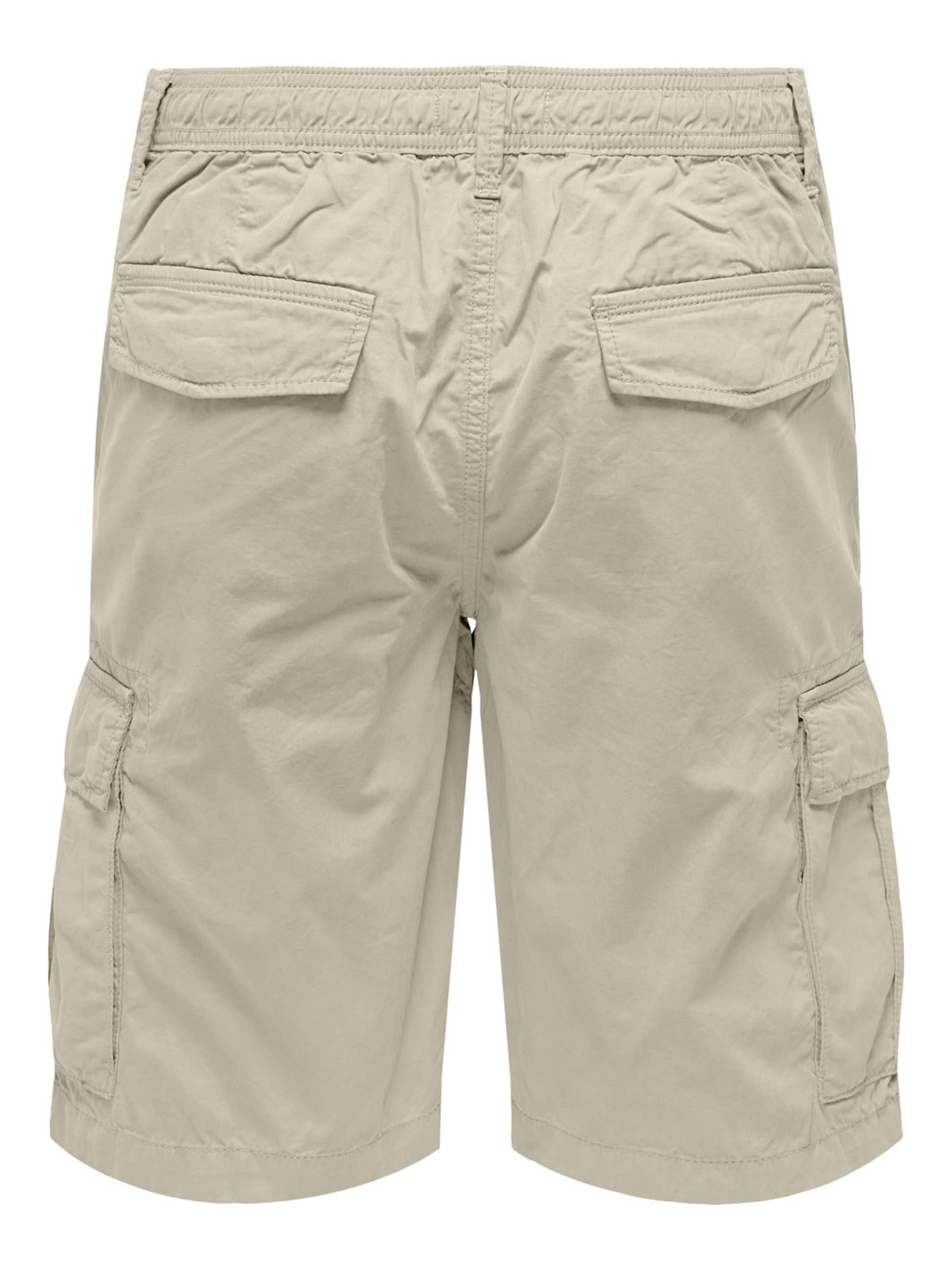 Regular Pantalon cargo 'LOC' Only & Sons en gris