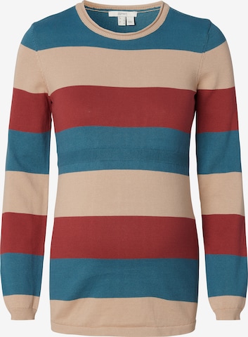 Esprit Maternity Sweater in Mixed colors: front