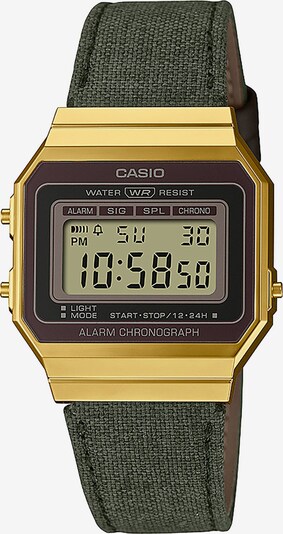 CASIO VINTAGE Digitaluhr in gold / grau / dunkelgrün / bordeaux, Produktansicht