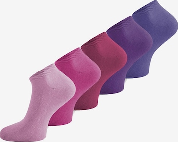 Chaussettes normani en violet : devant