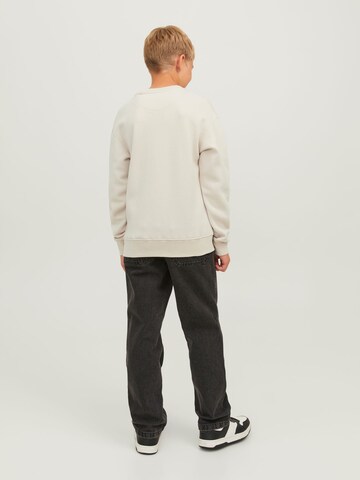 Jack & Jones Junior Sweatshirt 'JORVesterbro' in Beige