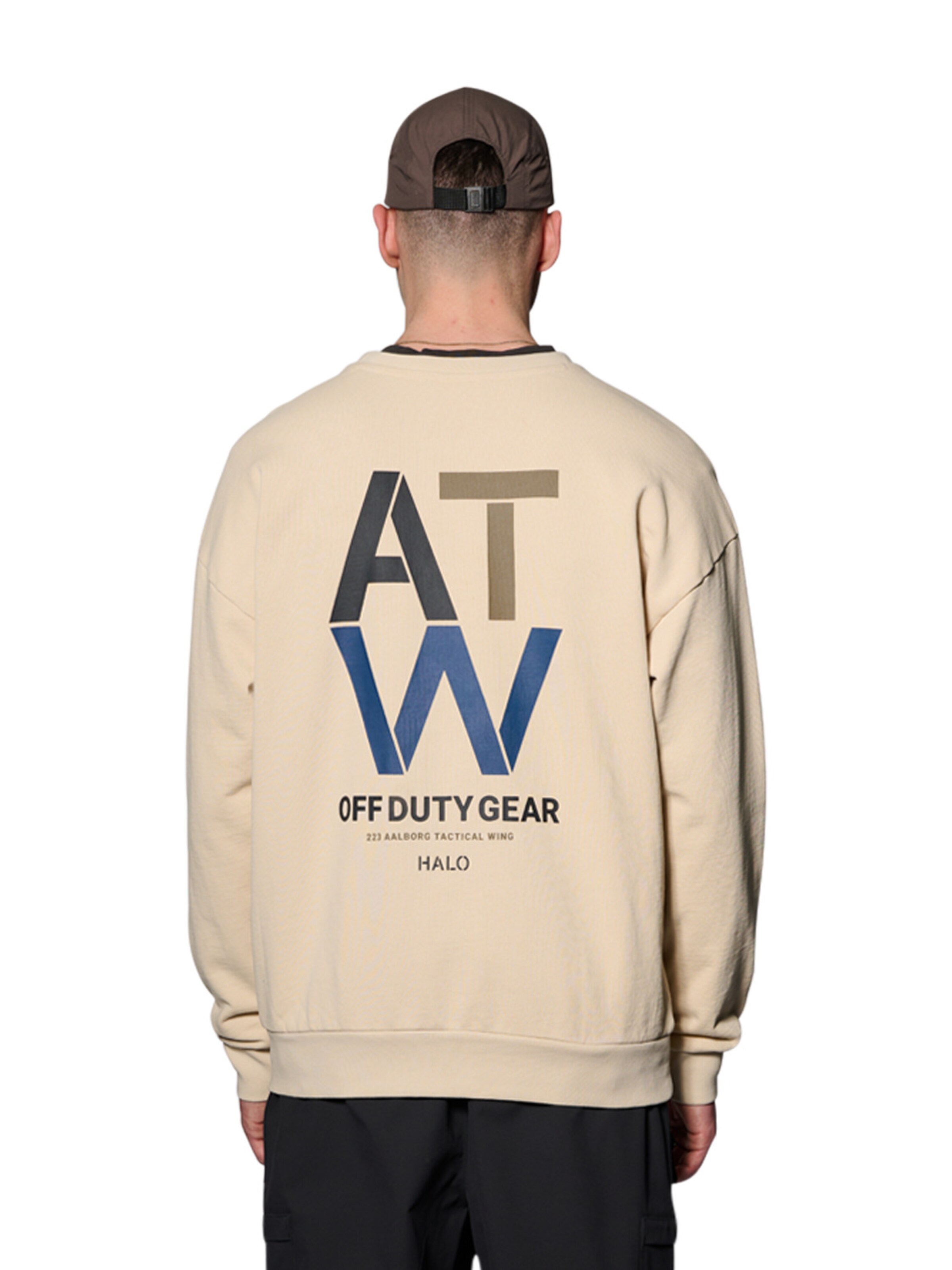 HALO Sweatshirt in Beige: voorkant