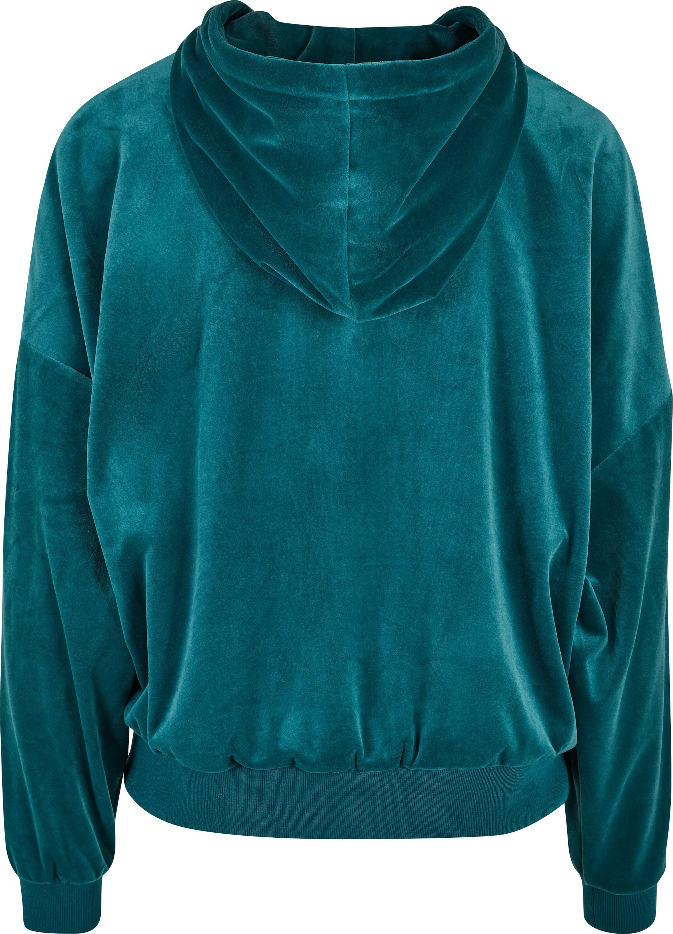 Karl Kani Sweat jacket in Green