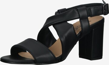 IGI&CO Sandals in Black: front