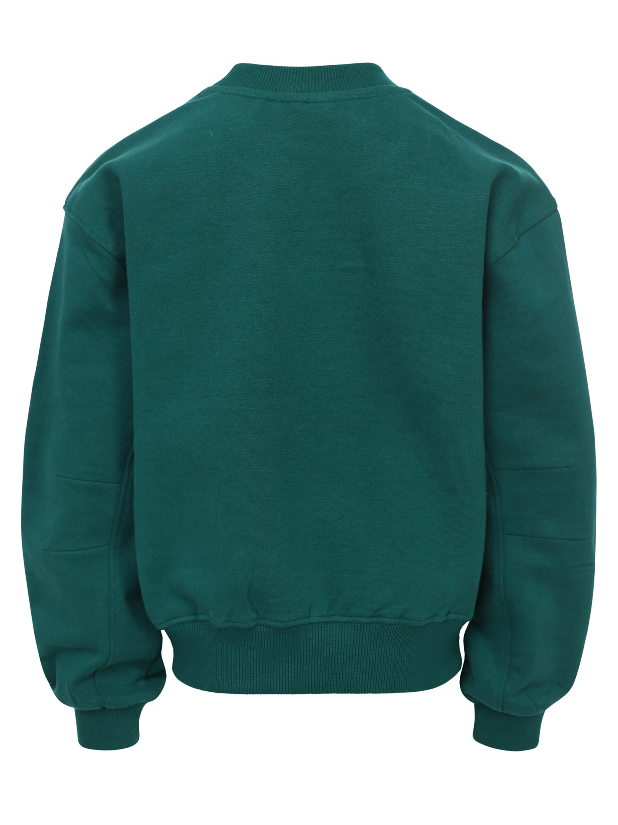 Looxs Revolution Sweatshirt in Groen