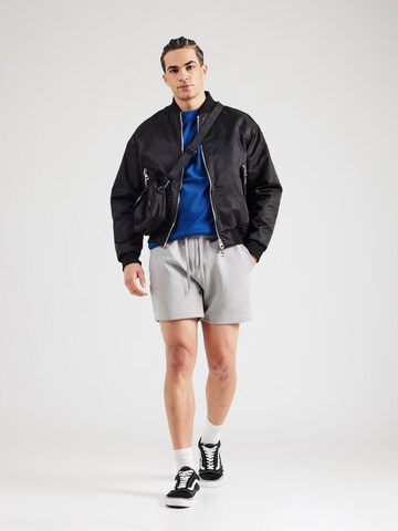 HOLLISTER - regular Pantalón en gris