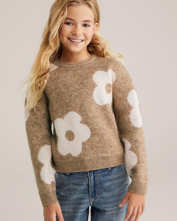 Pullover di WE Fashion in marrone: frontale