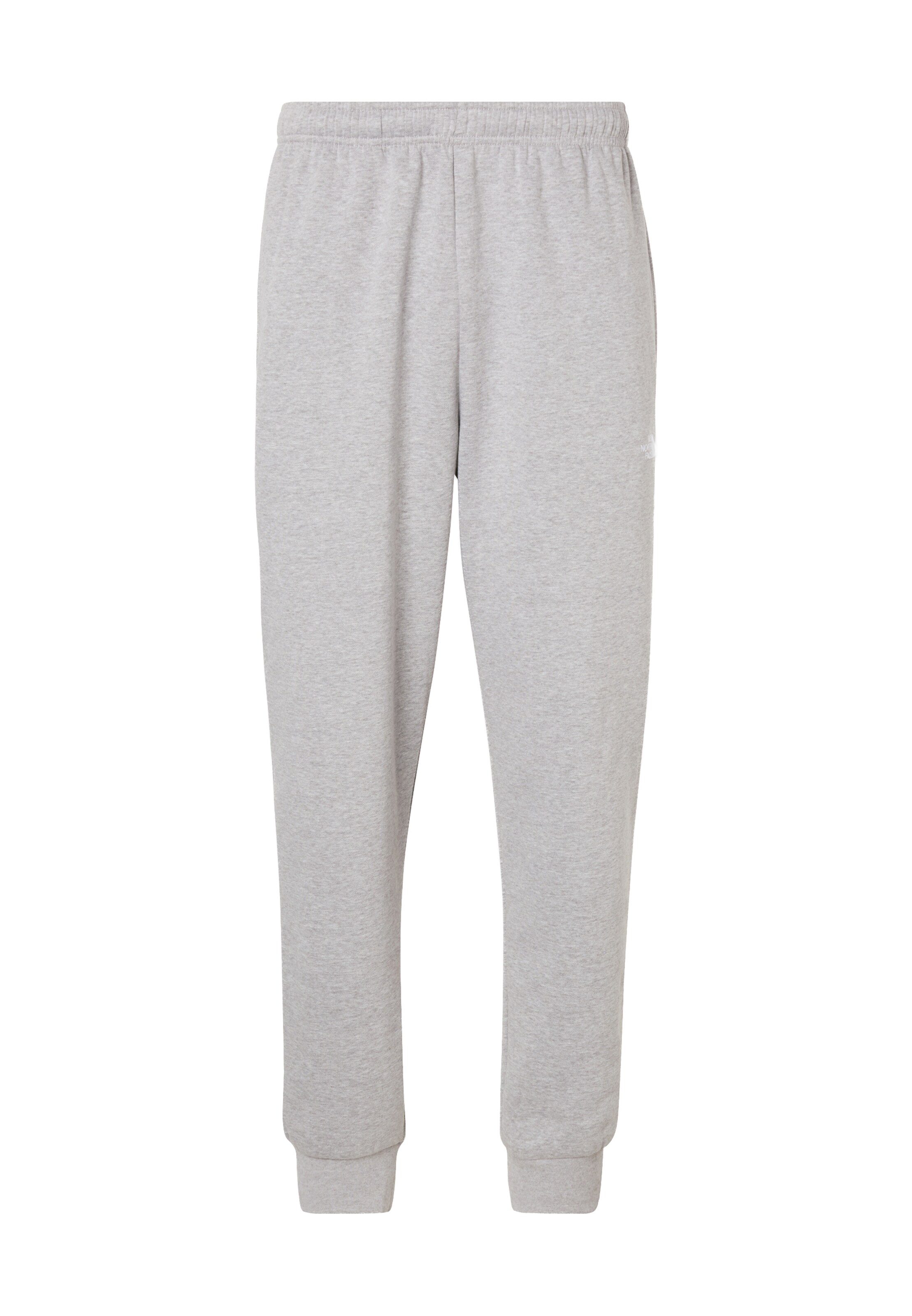 Pantaloni 'EVOLUTION SIMPLE DOME' di THE NORTH FACE in grigio: frontale