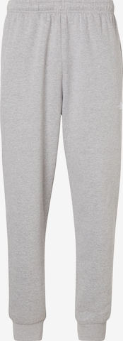 Pantaloni 'EVOLUTION SIMPLE DOME' di THE NORTH FACE in grigio: frontale