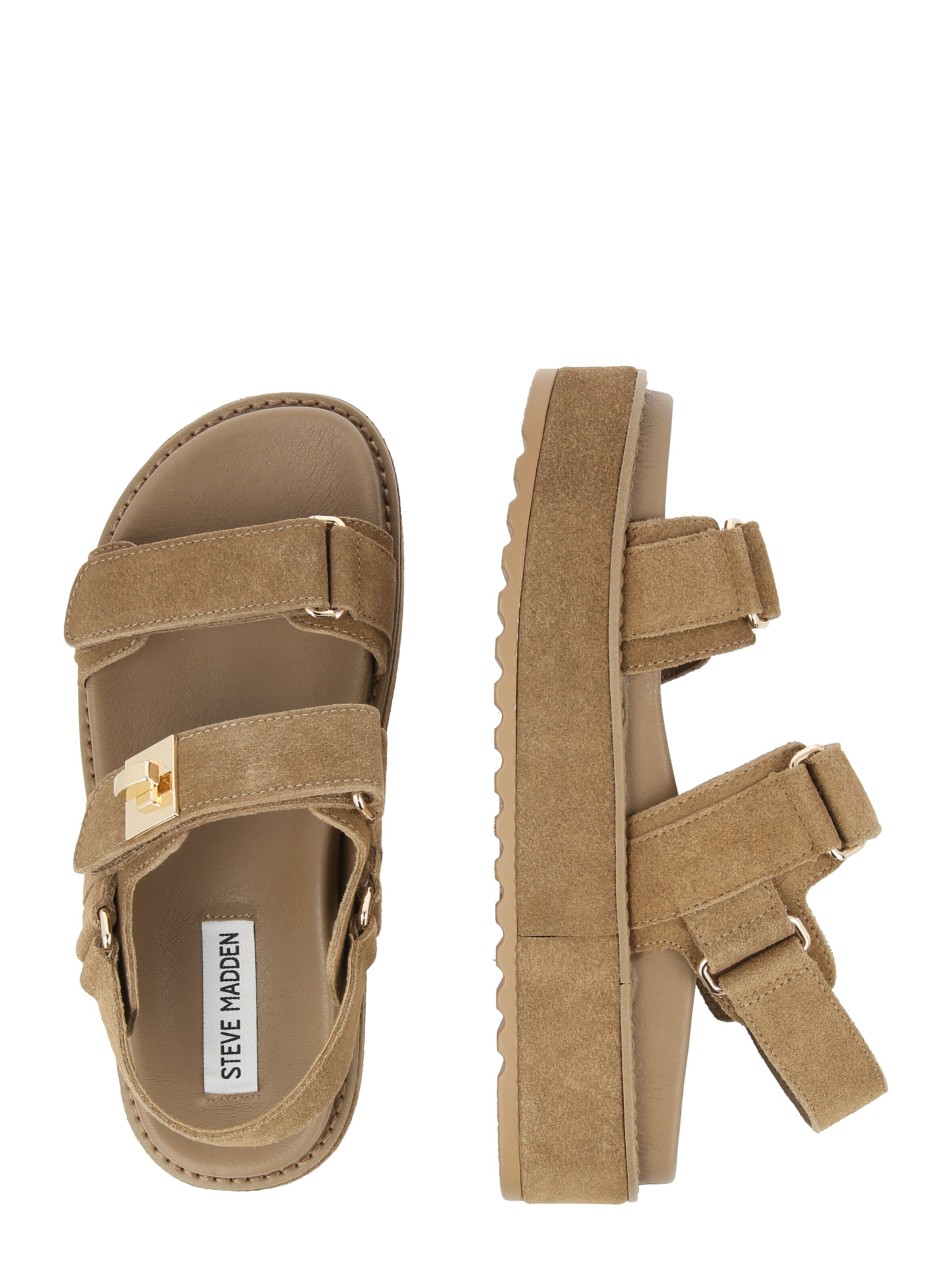 STEVE MADDEN Sandale 'Bigmona' in Braun