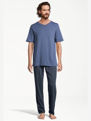 SCHIESSER Pajama short 'Night & Home' in Mixed colours