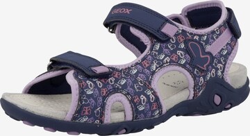 Chaussures ouvertes 'Whinberry' GEOX en bleu : devant