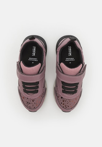 GEOX Trainers 'FASTICS' in Pink