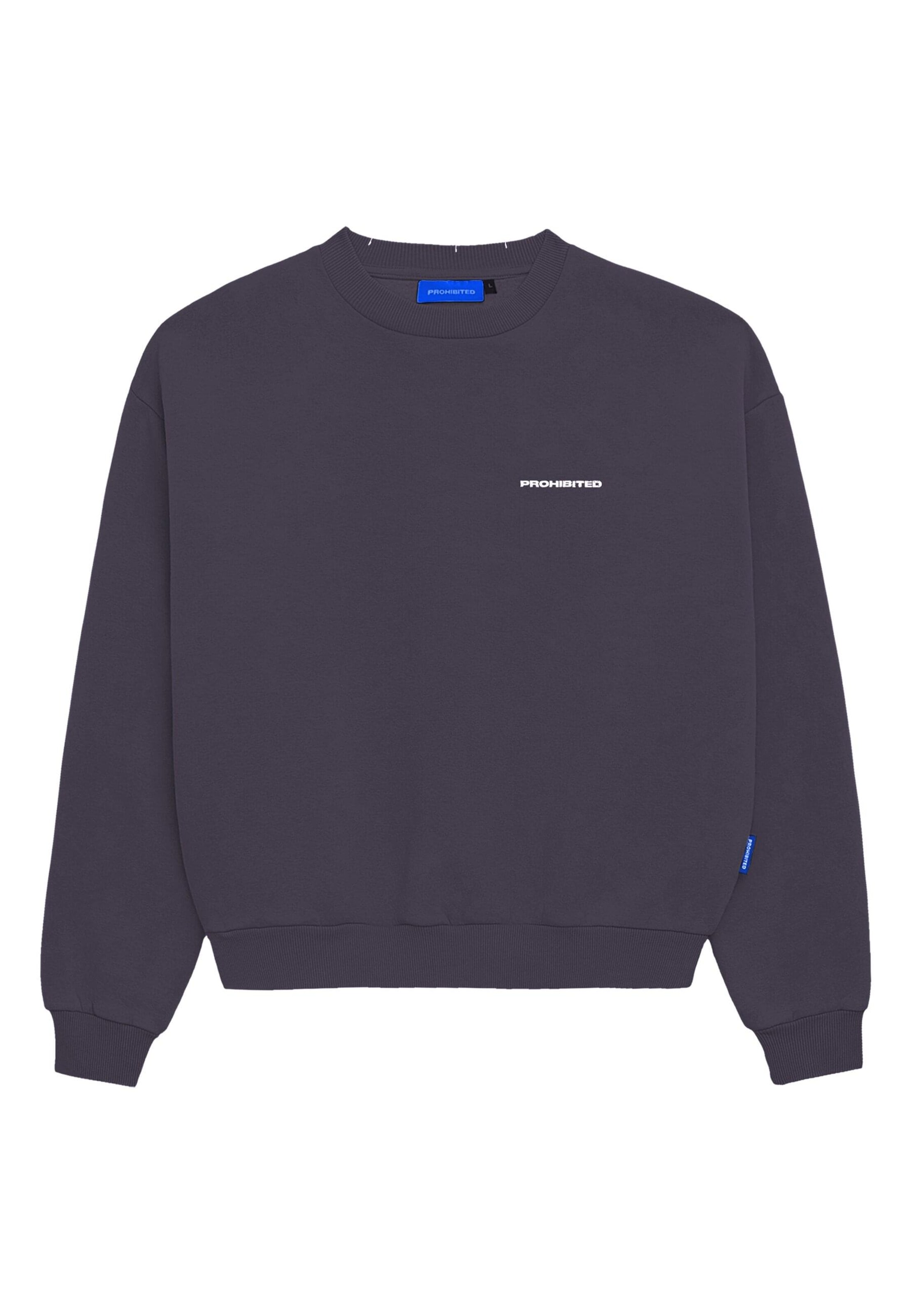 Prohibited Sweatshirt 'Star' i grå: forside