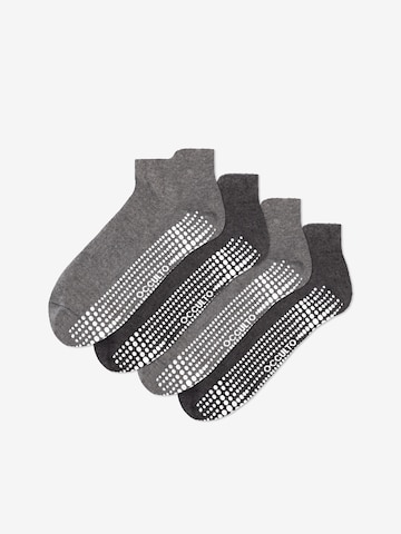 Occulto Athletic Socks 'Mady' in Grey