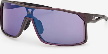 ADIDAS SPORTSWEAR Sonnenbrille ALKATOR in Lila: Vorderseite
