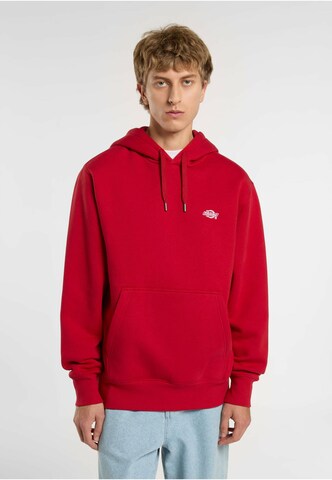 DICKIES Sweatshirt in Rot: Vorderseite