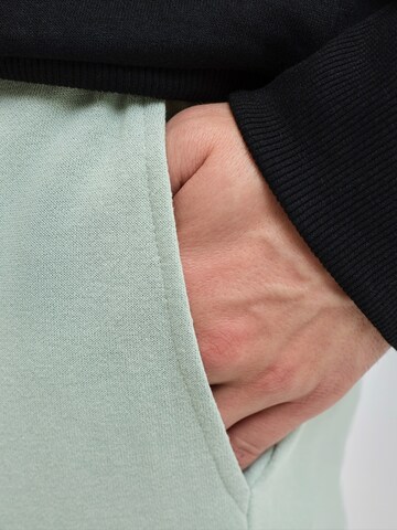 JJ Rebel Štandardný strih Kapsáče 'JREBGORM' - Sivá