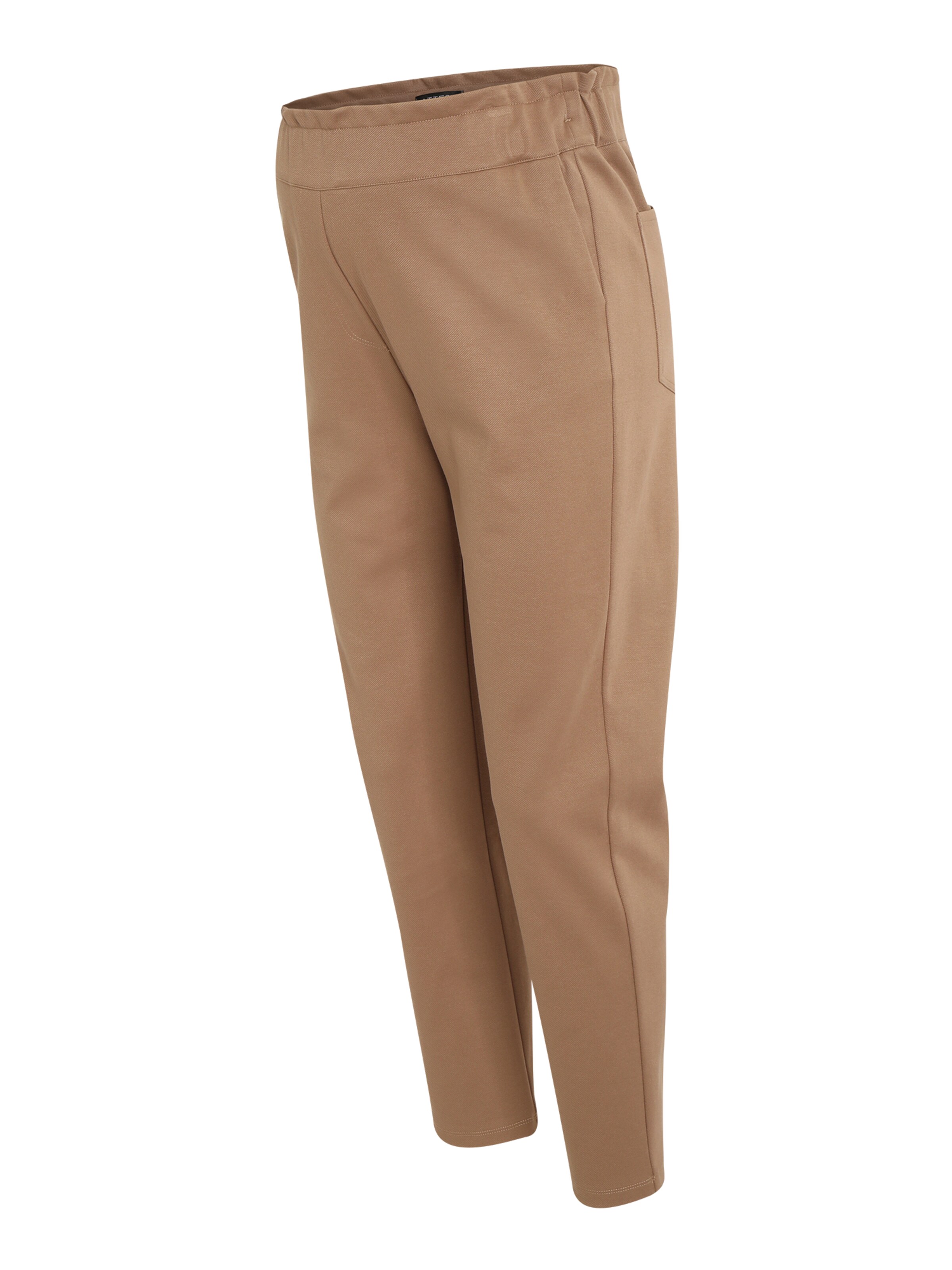 Attesa Regular Trousers 'CLARA' in Beige: front