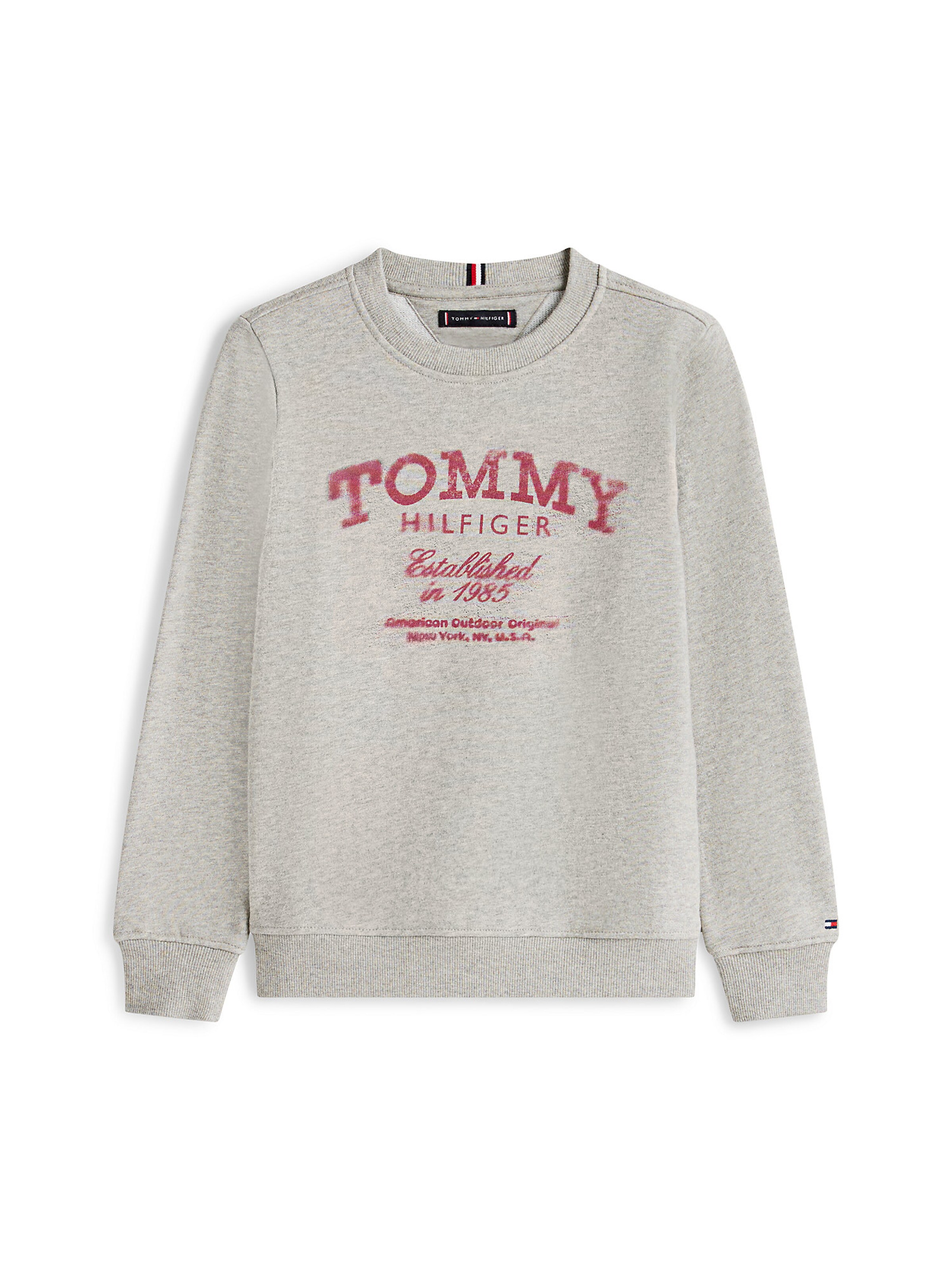 Sweat TOMMY HILFIGER en gris : devant